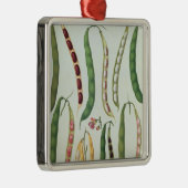 Bohnen Silbernes Ornament (Rechts)