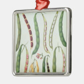 Bohnen Silbernes Ornament (Links)