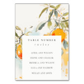 Boho Abstrakt Orange Garden Hochzeitssitze Tischnummer (Vorderseite)