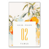 Boho Abstrakt Sketchy Orange Garden Wedding Tischnummer (Rückseite)