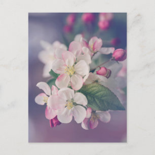 Boho Ästhetische Postkarte 018