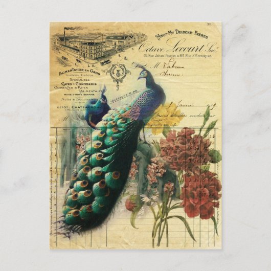 boho blumenfranzösisches Land moderner Vintager Pf Postkarte (Vorderseite)
