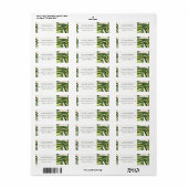 Boho Blush Green Tropical Palm Beach Adresse (Vorne)