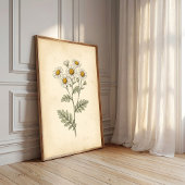 Boho-Botanik-Vintage-Mutterkraut Poster