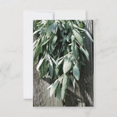 Boho botanische Kräuterpflanze verlasse rustikales Einladung (Rückseite)