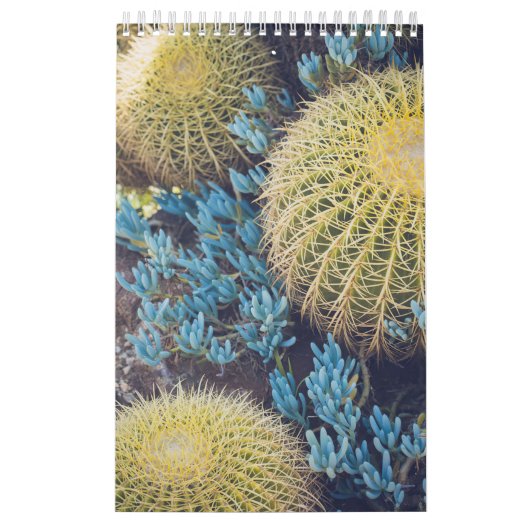 Boho Cactus Garden Kalender (Titelbild)