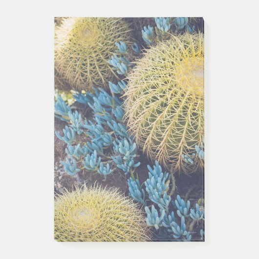 Boho Cactus Garden Post-it Klebezettel (Vorderseite)
