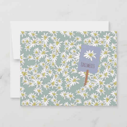 Boho Chic Edelweiss Alpenraum Wildblume Grün Dankeskarte (Vorderseite)