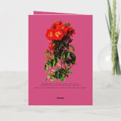 Boho Chic Mother's Day Rote Rosen Bouquet Magenta Karte (Rückseite)