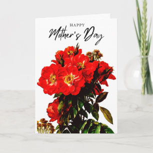 Boho Chic Mother's Day Rote Rosen Bouquet White Karte