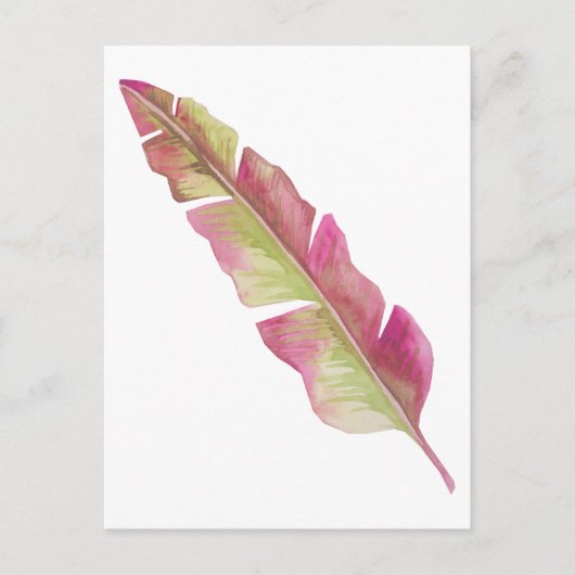 Boho Chic Pink und Grüne Feder Postkarte (Vorderseite)