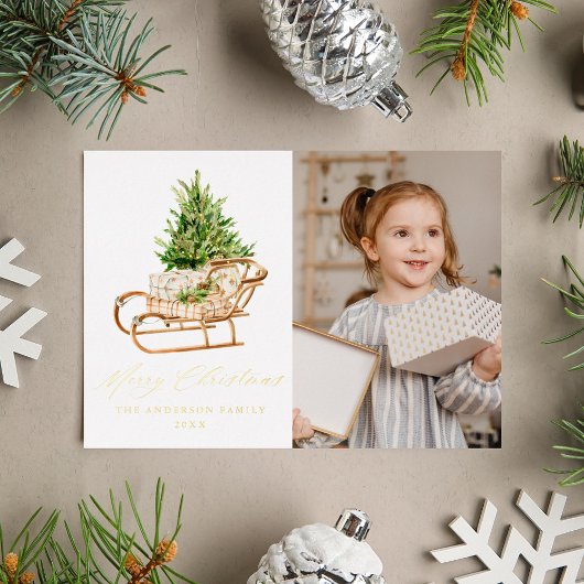 Boho Christmas Sleigh Foto Folien Feiertagskarte