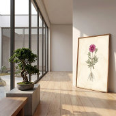 Boho Delosperma Botanische Leinwandkunst Poster