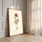 Boho Delosperma Botanische Leinwandkunst Poster