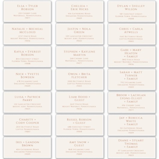 Boho Desert | Beige Wedding Guest Address Labels (Vorderseite)