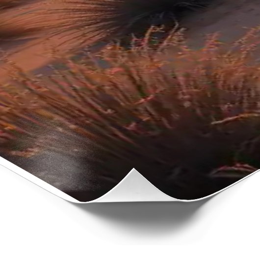 Boho Desert Sunset Poster (Ecke)