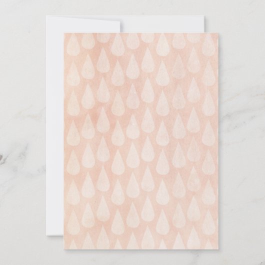 Boho Dream Catcher Rustic Baby Shower Einladungen (Rückseite)