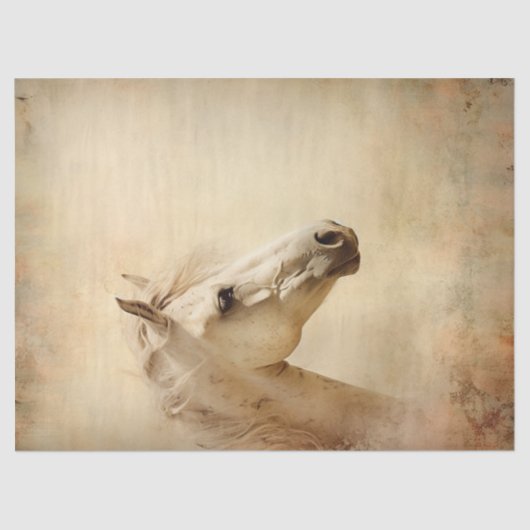 Boho Elegant White Horse Seidenpapier (Vorderseite)