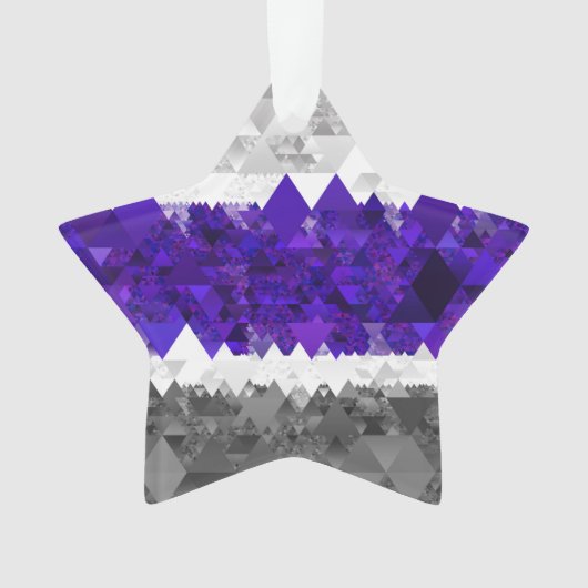 Boho Geometric Mod Retro Greygender Prix Flag Ornament (Vorderseite)