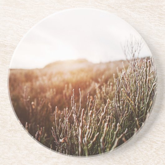 Boho Grass Field Sandstone Untersetzer (Vorne)