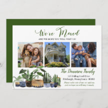 Boho Haushaltspflanzen Wir haben bewegtes Foto