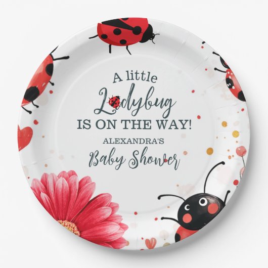 Boho Little Ladybug Babydusche Pappteller (Vorderseite)
