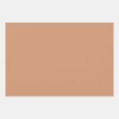 Boho Neutral Pastel Shades Geschenkpapier Set (Vorderseite 3)