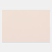 Boho Neutral Pastel Shades Geschenkpapier Set (Vorderseite)