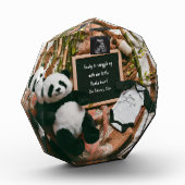 Boho neutrale Schwangerschaft Ankündigung Niedlich Fotoblock (Links)