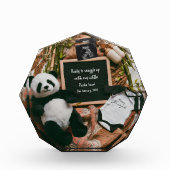 Boho-Neutraler Panda-Schwangerschaftsankündigung-A Fotoblock (Vorderseite)