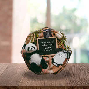 Boho-Neutraler Panda-Schwangerschaftsankündigung-A Fotoblock