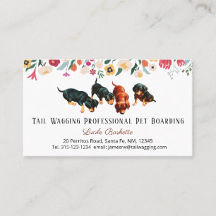 Boho Niedliche Dackel Jungtiere Boarding Blumenkoh Visitenkarte