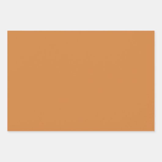 Boho Pastel Terracotta Pink Seashell Wrapping Geschenkpapier Set (Vorderseite 3)