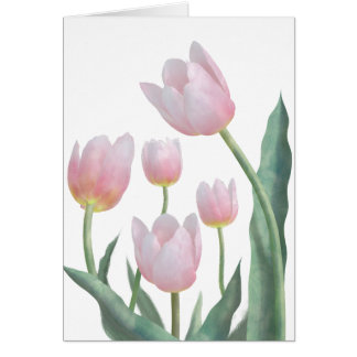 Boho-Pastell-Blumen