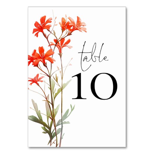 Boho Red Wildflowers Script Wedding Tischnummer (Vorderseite)