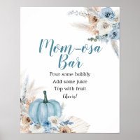 Boho Rustic Pumpkin Fall Baby Dusche Mimosa Bar