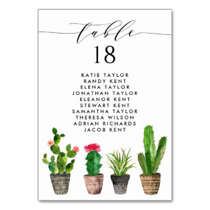 Boho-Topfpflanzen mit Sukkulenten und Kaktus-Hochz Tischnummer