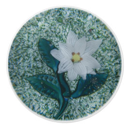 Boho White Star Blume Green Sparkle Keramikknauf