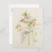 Bohrlöcher Postkarte (Vorne/Hinten)