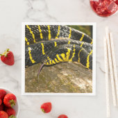 Boiga dendrophila oder Mangrove-Schlange Serviette (Beispiel)