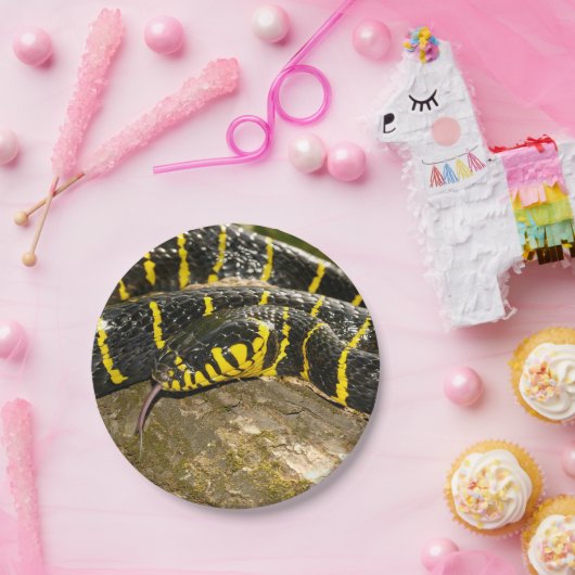 Boiga dendrophila oder Mangrovenschlange Pappteller (Party)