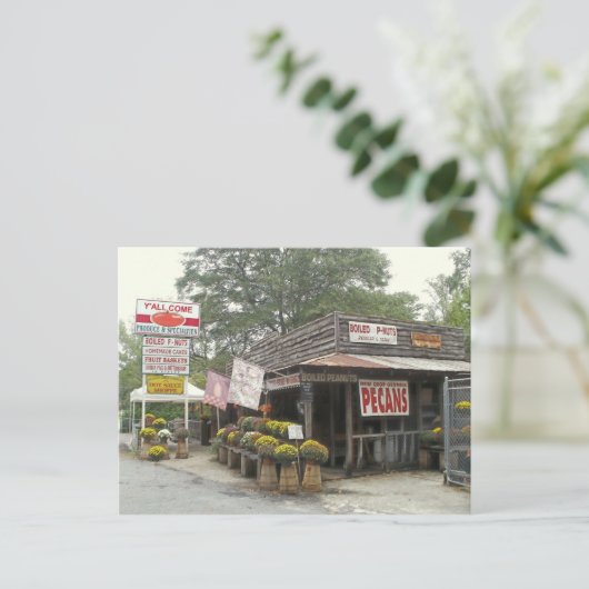 Boiled Peanuts Y'ALL COME Postkarte (Stehend Vorderseite)