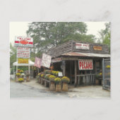 Boiled Peanuts Y'ALL COME Postkarte (Vorderseite)