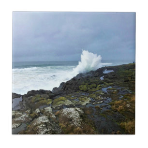 Boiler Bay Staat Wayside, Depoe Bay, Oregon Fliese