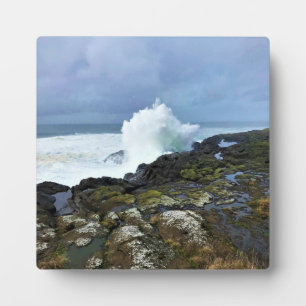 Boiler Bay Staat Wayside, Depoe Bay, Oregon Fotoplatte