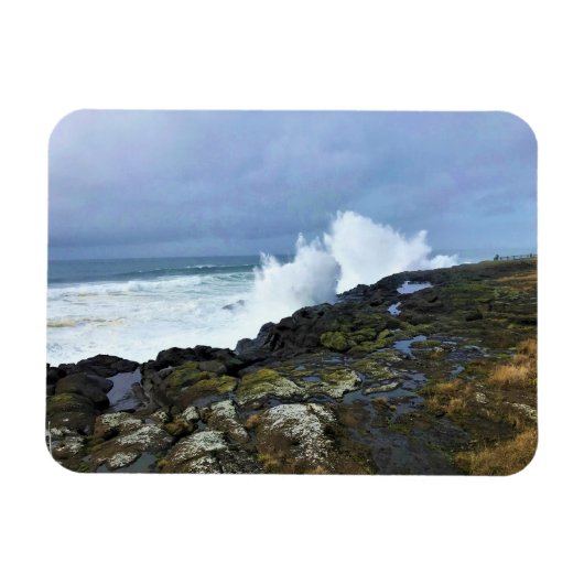 Boiler Bay Staat Wayside, Depoe Bay, Oregon Magnet (Horizontal)