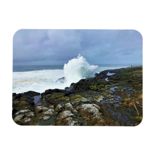 Boiler Bay Staat Wayside, Depoe Bay, Oregon Magnet (Horizontal)