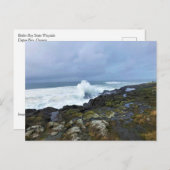 Boiler Bay Staat Wayside, Depoe Bay, Oregon Postkarte (Vorne/Hinten)