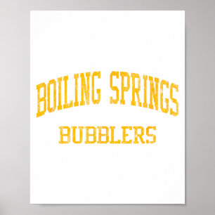 Boiling Springs High School Hs Boiling Springs Pa Poster