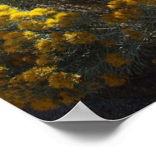 Boise Foothills Poster (Ecke)